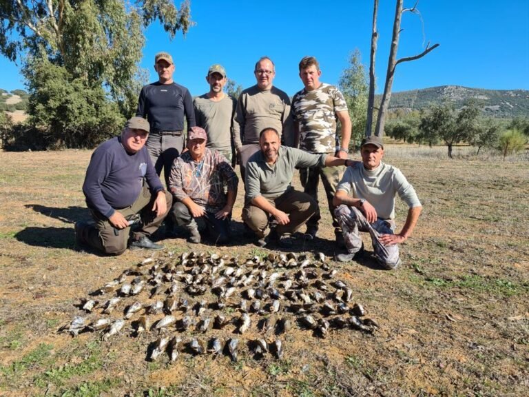 Dia de caça ao tordo com Sierra del Oro