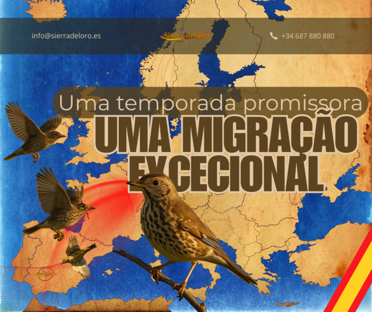 mapa da migração de tordos na Europa